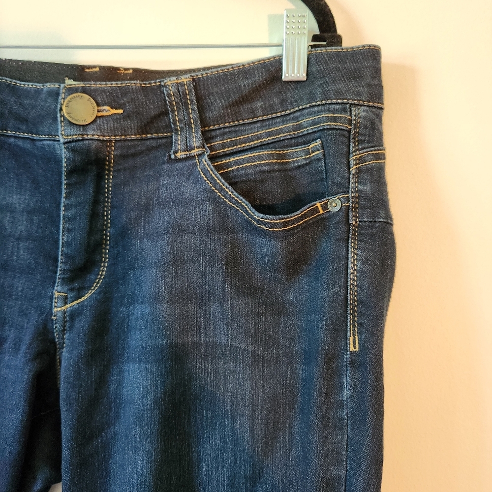 Democracy "ab"technology size 12P skinny jeans